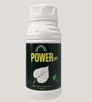 Power Up