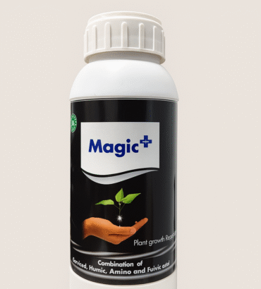 Magic+